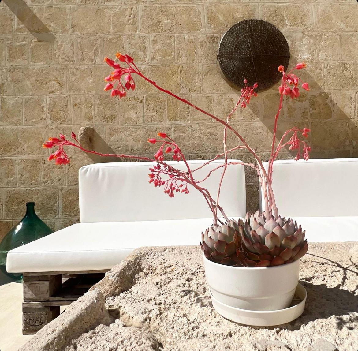 Masseria Spiga グラヴィーナ・イン・プーリア エクステリア 写真
