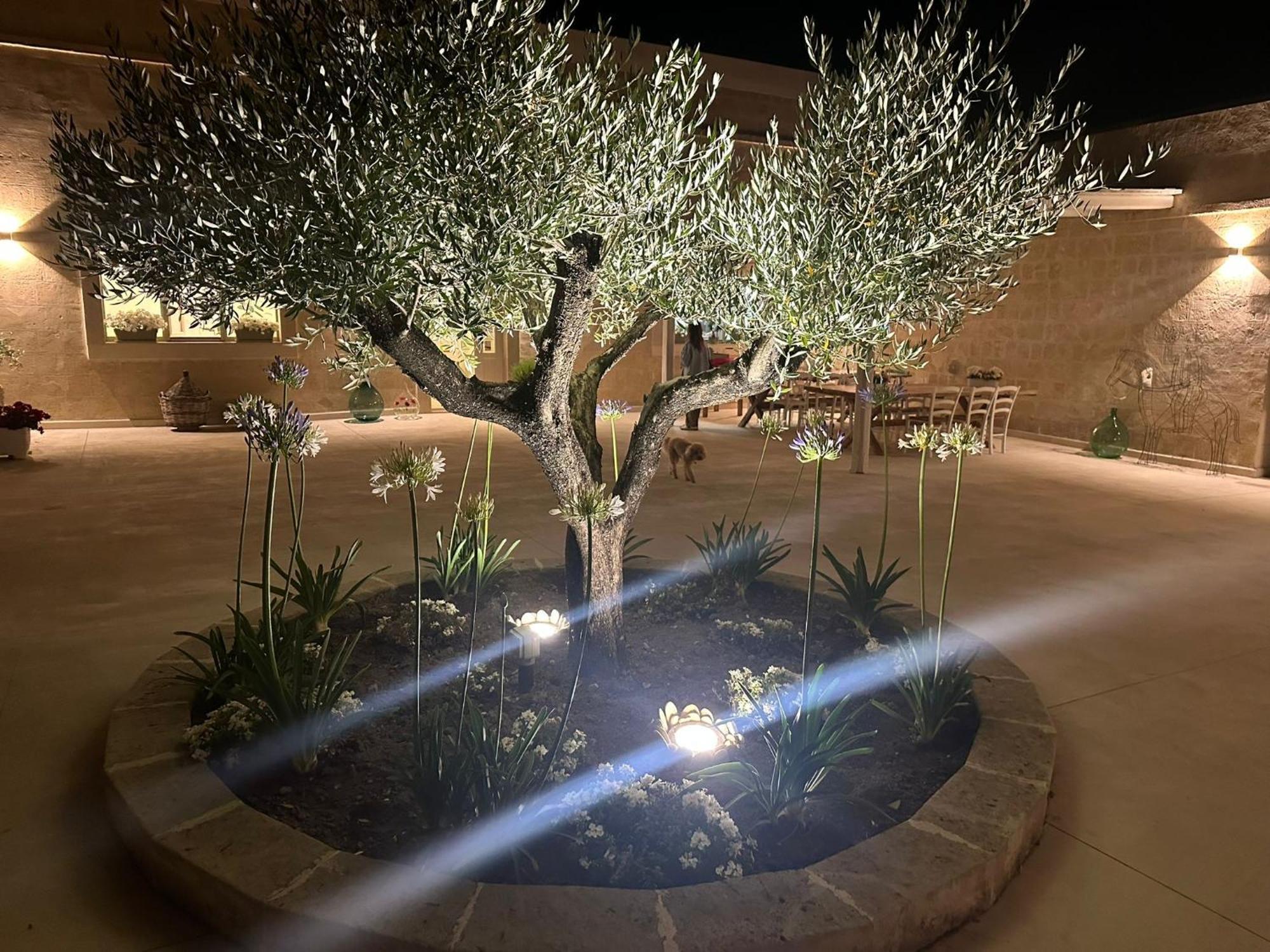 Masseria Spiga グラヴィーナ・イン・プーリア エクステリア 写真